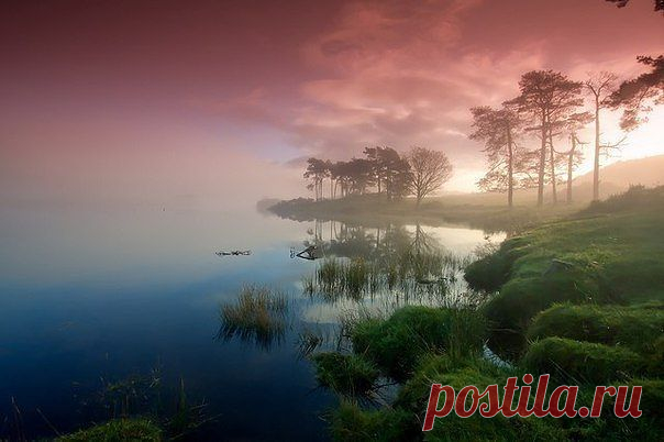 природа