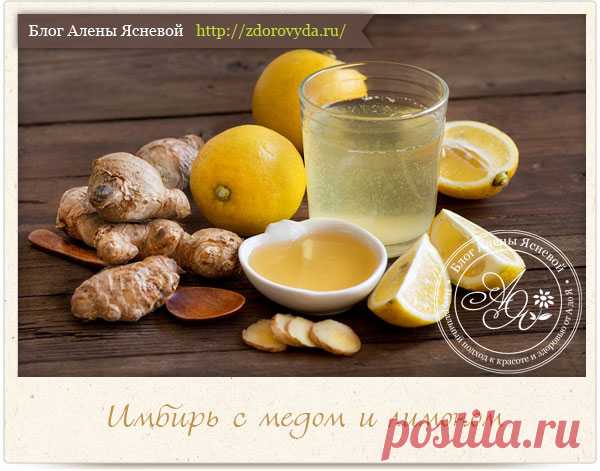 Мед с имбирем и лимоном для иммунитета : фото- рецепт приготовления