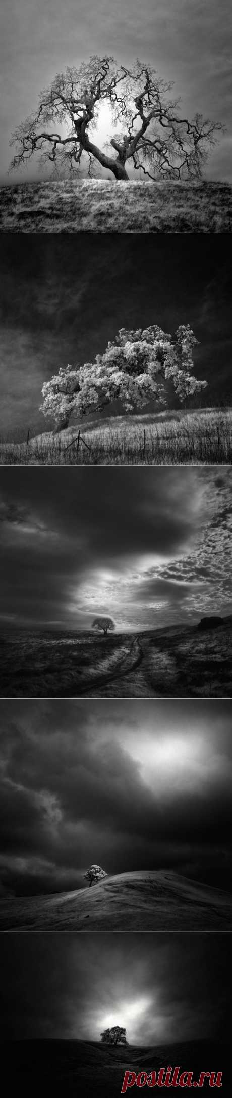 Инфракрасные молчаливые пейзажи… Фотограф Натан Вирт (Nathan Wirth) — Фотоискусство