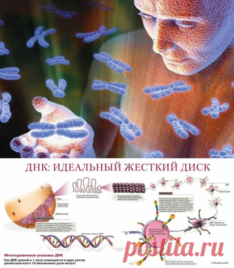 Невероятно! Слова, которые вызывают мутагенный эффект чудовищной силы