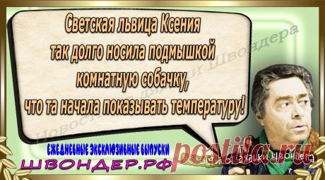 Новости от дядьки Швондера, классный анекдот, смешная фраза, веселая фенечка, каламбур, афоризмы, смех, забавные картинки, сложный юмор, непонятные анекдоты, цитаты из интернета, мэмчик, развлечение, Швондер говорит, Шариков, Собачье сердце, улыбка до ушей, веселый сайт, забава, смешарик, мем, потеха, картинка со смыслом, фарс, наколка, мемасик, шутка, юмор, анекдоты в картинках, юмор в картинках, свежие приколы, Швондер, смешная фишка, улыбка, интересное в сети, смех, швондер.рф, #швондер.рф