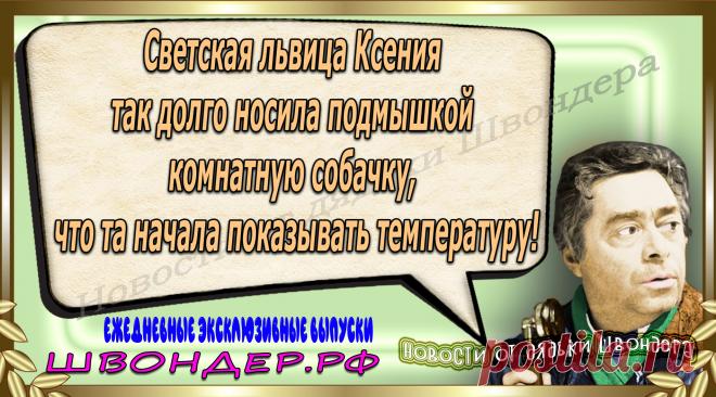Новости от дядьки Швондера, классный анекдот, смешная фраза, веселая фенечка, каламбур, афоризмы, смех, забавные картинки, сложный юмор, непонятные анекдоты, цитаты из интернета, мэмчик, развлечение, Швондер говорит, Шариков, Собачье сердце, улыбка до ушей, веселый сайт, забава, смешарик, мем, потеха, картинка со смыслом, фарс, наколка, мемасик, шутка, юмор, анекдоты в картинках, юмор в картинках, свежие приколы, Швондер, смешная фишка, улыбка, интересное в сети, смех, швондер.рф, #швондер.рф