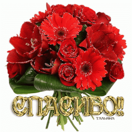 Живые фотографии – Сообщество – Google+