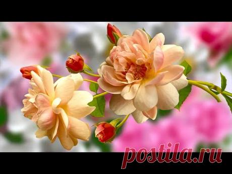 Красиво для души, Неземная музыка Сергея Чекалина уносит вдаль к мечтам! Релакс видео