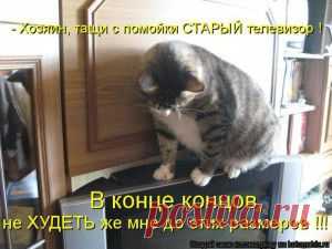 С. Л. Кобах.  Про телевизор ( забавное, ежевечернее чтение для скучающих)