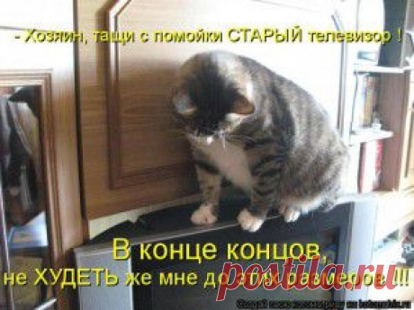 С. Л. Кобах.  Про телевизор ( забавное, ежевечернее чтение для скучающих)