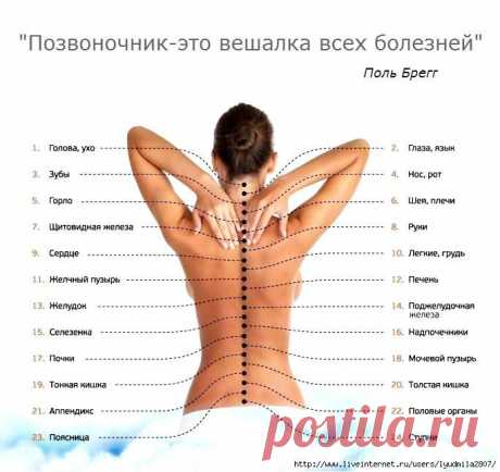 психо-соматика заболеваний спины