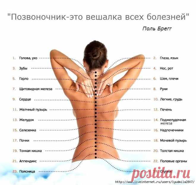 психо-соматика заболеваний спины