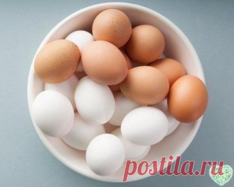 Хозяйка на кухне → Рецепты → Хитрости и советы

20 суперских фактов-подсказок, с которыми вы не пропадёте
Люди копят такой опыт годами и передают по наследству — а вам он достанется бесплатно и за 5 минут, потому что мы собрали для вас лучшие короткие лайфхаки в рунете!

1. Чтобы котлеты были вкуснее…
Самые вкусные котлеты получатся из фарша, который постоит 5–6 часов вместе с нарезанным луком, солью и специями в холодильнике. Мясо немного замаринуется, котлеты будут гораз...