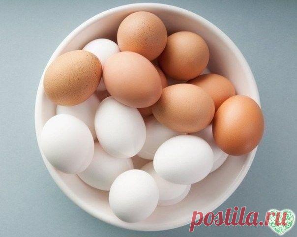 Хозяйка на кухне → Рецепты → Хитрости и советы

20 суперских фактов-подсказок, с которыми вы не пропадёте
Люди копят такой опыт годами и передают по наследству — а вам он достанется бесплатно и за 5 минут, потому что мы собрали для вас лучшие короткие лайфхаки в рунете!

1. Чтобы котлеты были вкуснее…
Самые вкусные котлеты получатся из фарша, который постоит 5–6 часов вместе с нарезанным луком, солью и специями в холодильнике. Мясо немного замаринуется, котлеты будут гораз...