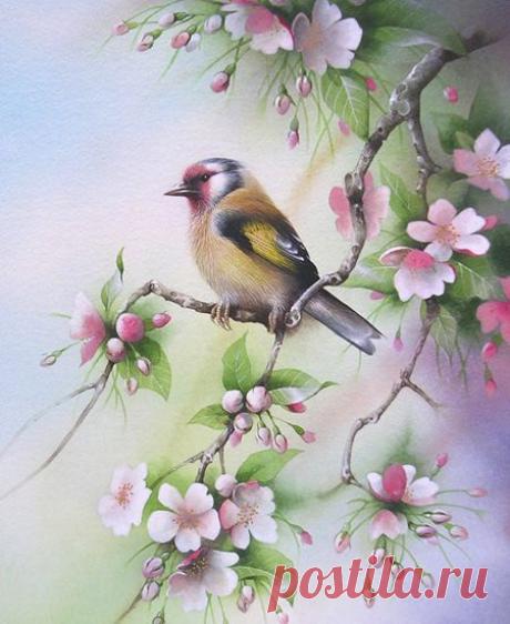 Найдено на сайте davidfinney.co.uk.