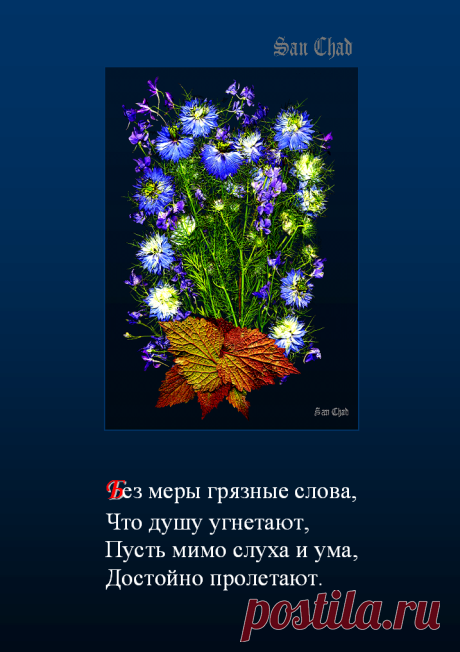 Софиты - от слова София-мудрость * поэтические строки о мудрости.