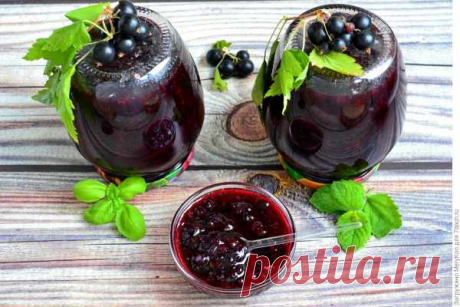 Черная смородина с базиликом и мятой — Домашняя кулинария