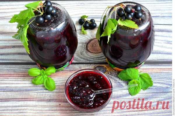 Черная смородина с базиликом и мятой — Домашняя кулинария