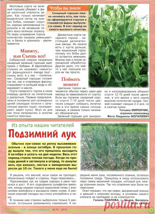 imgbox - быстрый, простой хост изображение