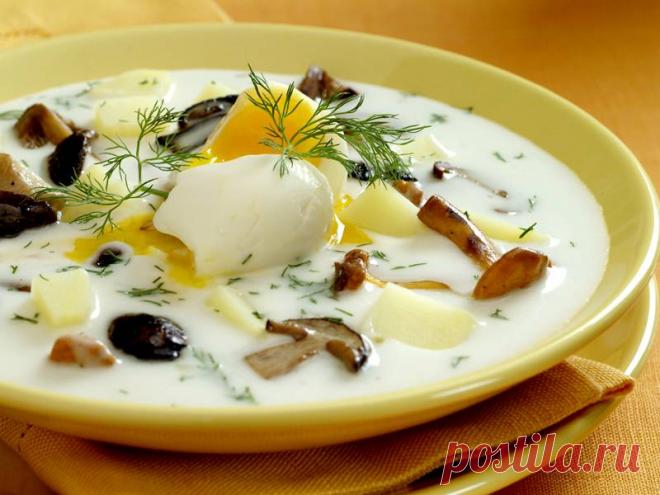 (+3) Чешские супы