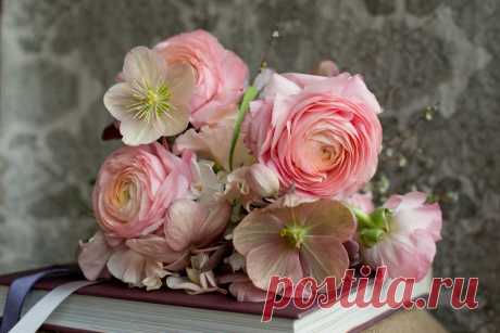 flowers + photos by busy B