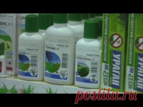Агрокиллер от сорняков: инструкция по применению 