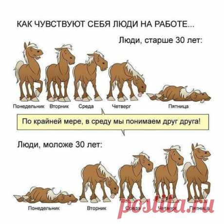 (210) Pinterest
