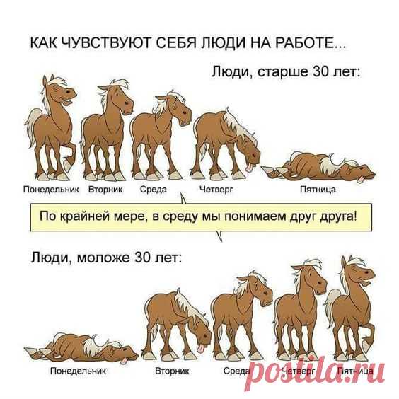 (210) Pinterest