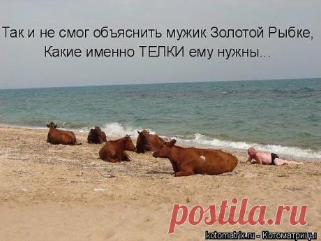 Я люблю - значит я живу... вКругуДрузей — социальная сеть