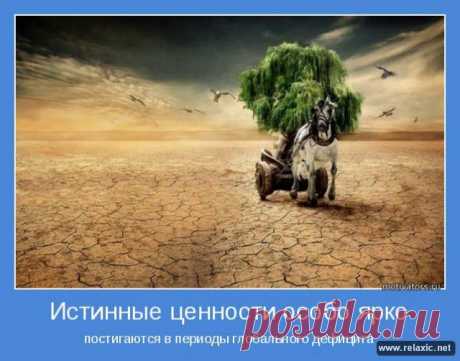 Позитивные мотиваторы (115 штук) | Релаксик