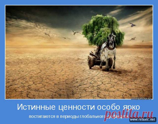 Позитивные мотиваторы (115 штук) | Релаксик