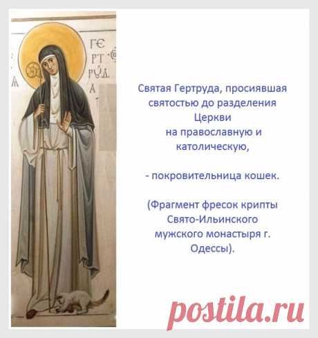 Марина Терехина