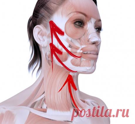 КРУГОВАЯ ПОДТЯЖКА ЛИЦА:  ВСЕГО ОДНО ОМОЛАЖИВАЮЩЕЕ УПРАЖНЕНИЕ Это упражнение без хирургического вмешательства позволяет вернуть естественную красоту, уменьшить проявления старения, минимизировать морщины, подтянуть ослабевающие, утончающиеся с возрастом мышцы лица