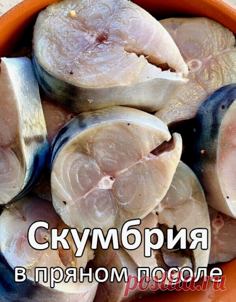 Скумбрия в пряном посоле