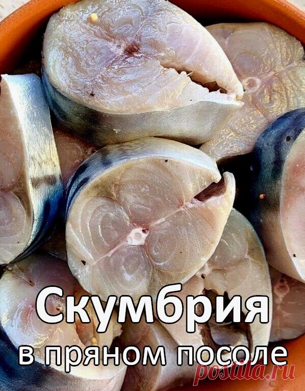 Скумбрия в пряном посоле