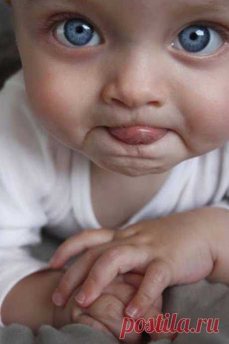 15+ Деток С Глазками Как У Кота В Сапогах, Из “Шрека”. | Лучшие истории со всего мира