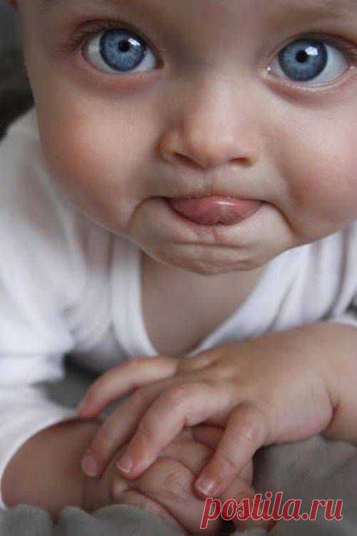 15+ Деток С Глазками Как У Кота В Сапогах, Из “Шрека”. | Лучшие истории со всего мира