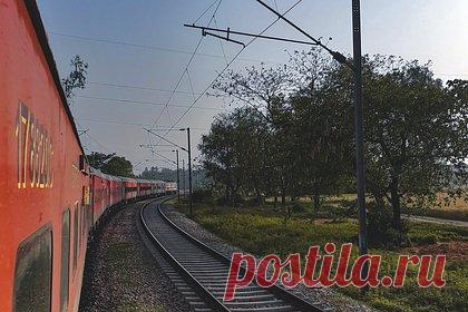 Справлявшего нужду на рельсы мужчину убила летящая корова. Справлявшего нужду на железнодорожных путях мужчину убила летящая корова, пишет Daily Star. Инцидент произошел в индийском штате Раджастан. 82-летний местный житель Шивдаял Шарма, ранее работавший электриком на железной дороге, погиб после того, как в него врезалась корова, сбитая скоростным поездом.