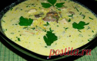 Суп из вешенок / Грибные супы / TVCook: пошаговые рецепты с фото