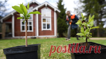 Врач Карпенко: из-за дачных работ в жару может случиться гипертонический криз. Доцент кафедры поликлинической терапии Института клинической медицины Пироговского университета Дмитрий Карпенко рассказал, что интенсивная работа на даче в жаркую погоду может спровоцировать гипертонический криз. Читать далее