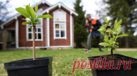 Врач Карпенко: из-за дачных работ в жару может случиться гипертонический криз. Доцент кафедры поликлинической терапии Института клинической медицины Пироговского университета Дмитрий Карпенко рассказал, что интенсивная работа на даче в жаркую погоду может спровоцировать гипертонический криз. Читать далее