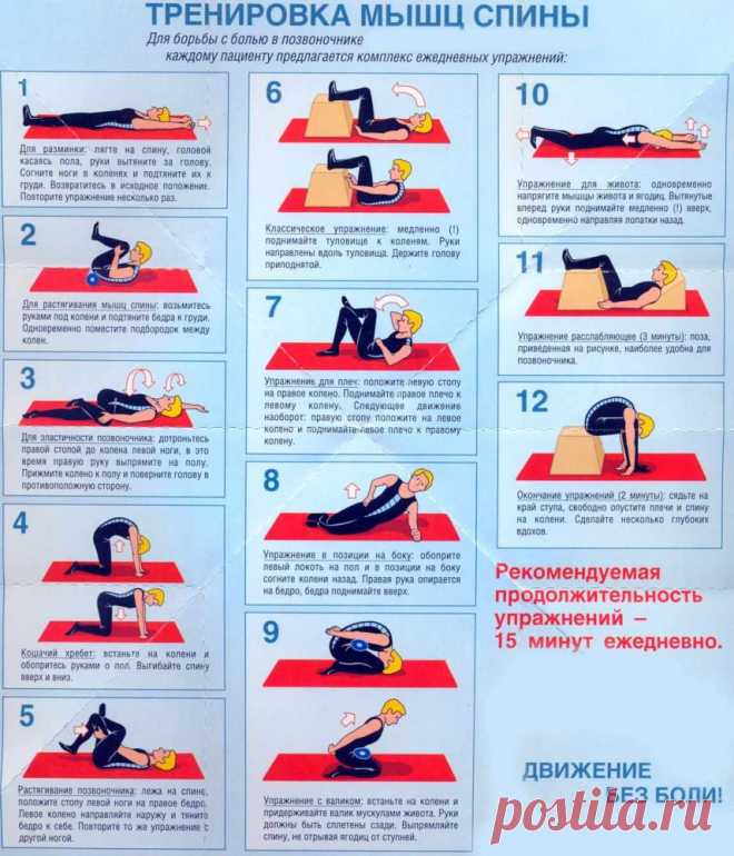 цитата Моя_кулинарная_книга : Лечебная физкультура при болях в спине. Упражнения при межпозвоночной грыже. Лечение и реабилитация межпозвоночной грыжи (08:53 05-02-2014) [3226371/311606887] - natasha_5656@mail.ru - Почта Mail.Ru