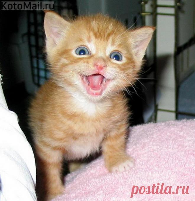 Радуюсь жизни с улыбкой!