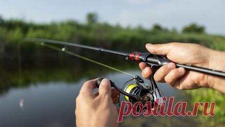 Две крупные рыбы принесли индийским рыбакам 1,5 миллиона рупий. В Бенгальском заливе индийские рыбаки поймали девять редких рыб аномально большого размера. Об этом сообщает Kalinga TV. Местные жители называют эту рыбу &quot;телия сила&quot; и используют ее для приготовления снадобий против старения. ...