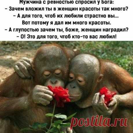 Photo by Психология отношений on July 14, 2020. На изображении может находиться: один или несколько человек, текст «мужчина с ревностью спросил y бога: -зачем вложил ты в женщин красоты так много? A для того, чтоб их любили страстно вы... вот потому я дал им много красоты. глупостью зачем ты, боже, женщин наградил? O! это для того, чтоб кто-то вас любил!»