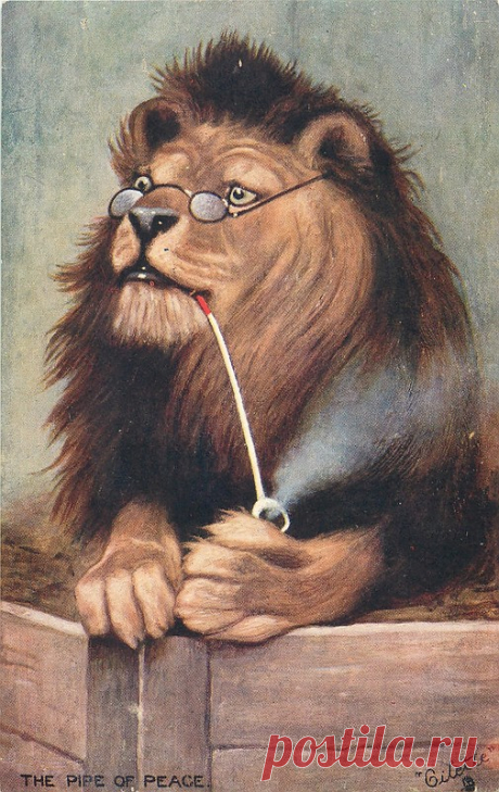 Vintage Postcards