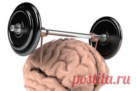 О лекарствах, которые «улучшают работу мозга», или Про ноотропные средства