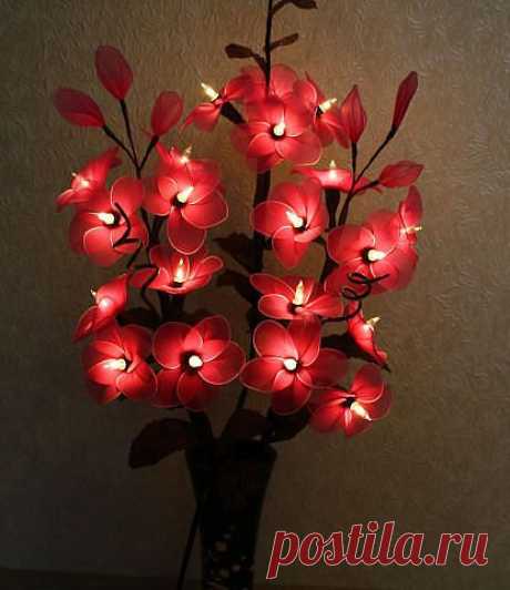 Сарочка Черныш
Израиль, Petah Tikva