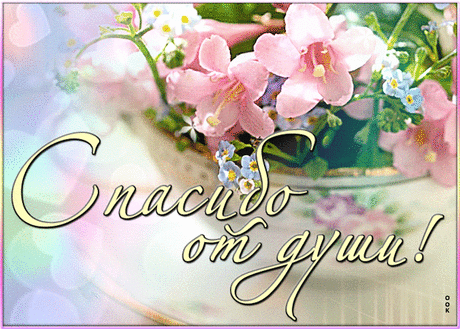 4cdef4810c92cb8c0311236c7e4d58f8-1.gif (700×500)