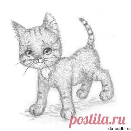 «Как нарисовать котенка поэтапно карандашом для начинающих» — карточка пользователя slavashishaev в Яндекс.Коллекциях