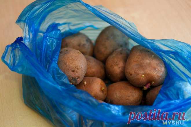 Нож для нарезки овощей. Жарим картошку по-кубански