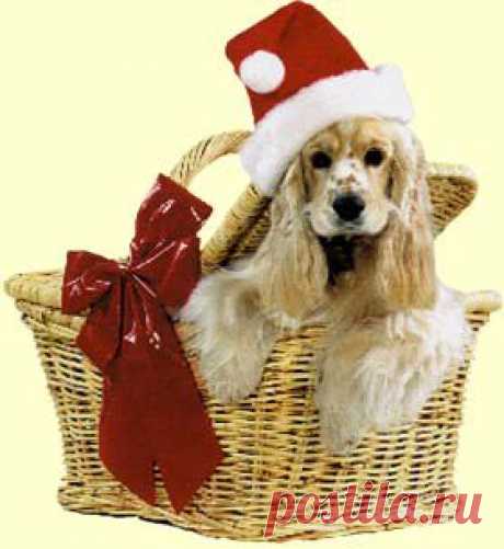 Куда уходит Дед Мороз?