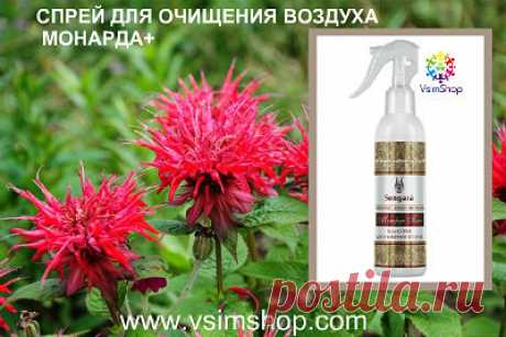 Спрей для очищения воздуха от вирусов, бактерий, спор плесени - Vsim Shop