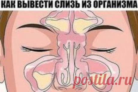 Как вывести слизь из организма и стать здоровее на 10 лет